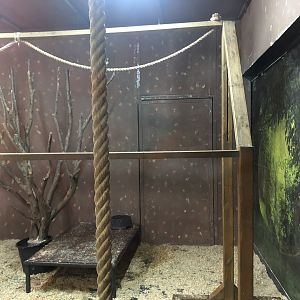 Tortoise Enclosure at ViaSea Aquarium