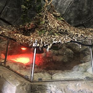 Tortoise enclosure at ViaSea Aquarium