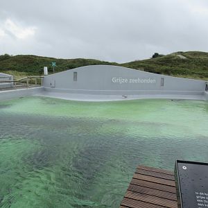 09 2023 - Overview Grey Seal Enclosure