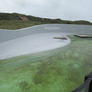 09 2023 - Ringed Seal / Harbour seal enclosure overview