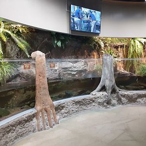 Impressive Hellbender Tank