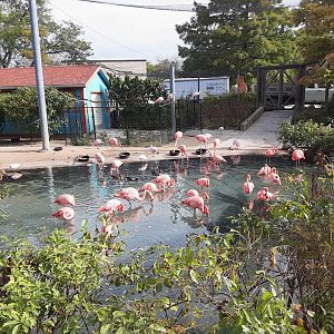 Flamingo Key- impressive aviary!