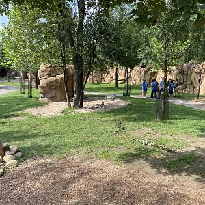 8/11/2023 - Roo Valley - General View