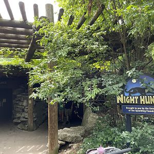 8/11/2023 - Night Hunters Entry