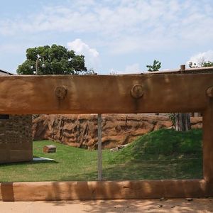 Honey Badger Viewing Window