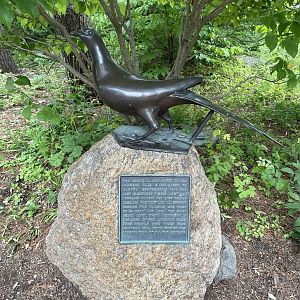 8/11/2023 - Martha Statue