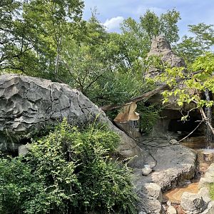 8/11/2023 - Lemur Lookout