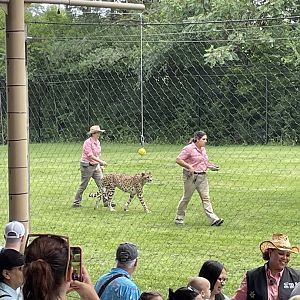 8/11/2023 - The “Culprit”