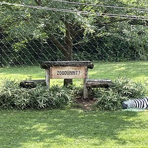 8/11/2023 - ZooDunnit?!