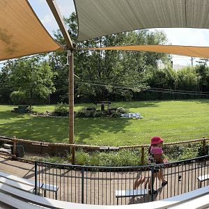 8/11/2023 - Cheetah Encounter Arena