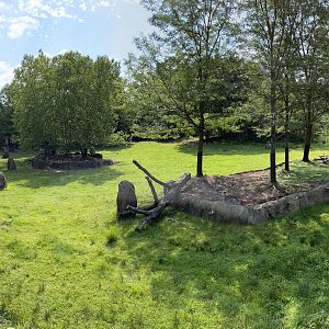 8/11/2023 - Savannah Habitat