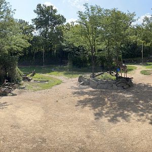 8/11/2023 - Giraffe Ridge