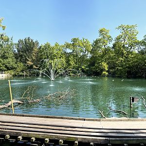 8/11/2023 - Swan Lake