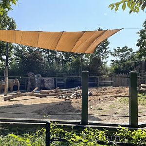 8/11/2023 - Smaller Asian Elephant Habitat