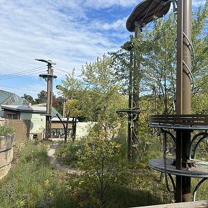 New Orangutan habitat view