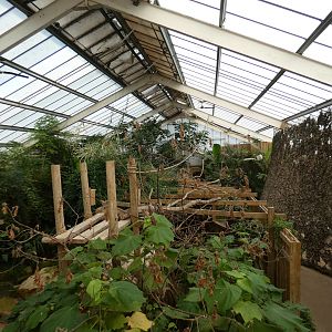 View in Tropical house