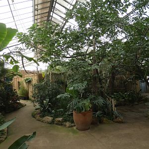 View of tropical house