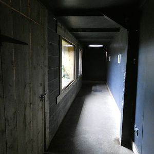 View of the reptile tunnel