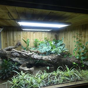 Black tree monitor enclosure