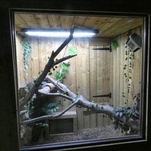 Carpet python enclosure