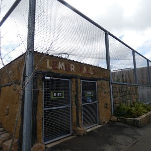 Lemur walk-through entrance