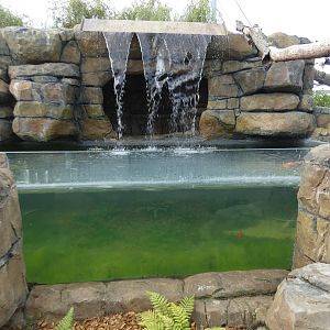 Waterfall and carp pond in Lemur walk-through