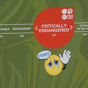 Emojis and the IUCN Red List