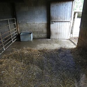 Tapir and Capybara indoor enclosure