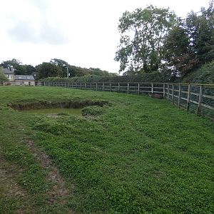Tapir and Capybara outdoor enclosure