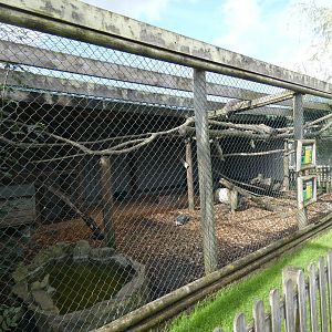 Racoon and Racoon dog enclosure