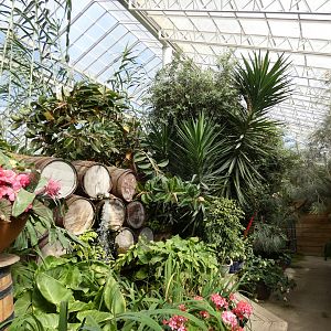 View inside the Endeavour Tropical House