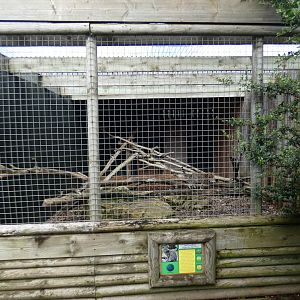 Geoffrey's cat enclosure