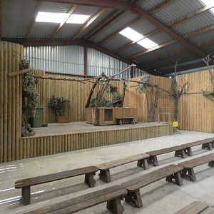Animal display area