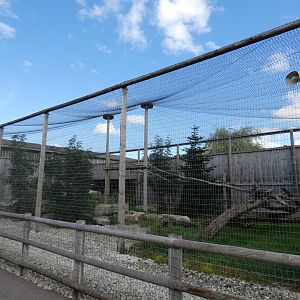Siberean lynx enclosure