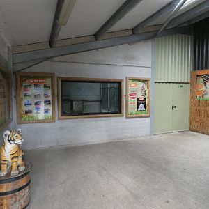 Tiger indoor viewing area