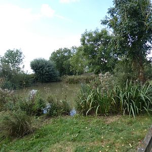 European white stork enclosure