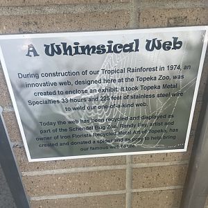 Historical Spider Web Info