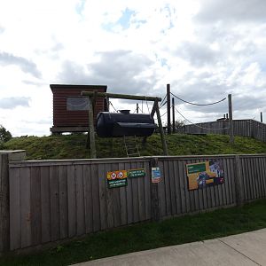 Ring-tailed coati enclosure