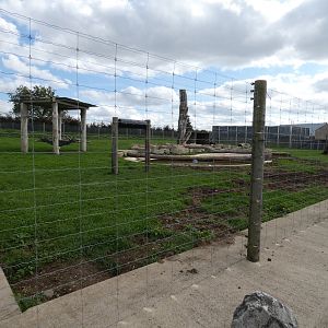 Brown bear enclosure