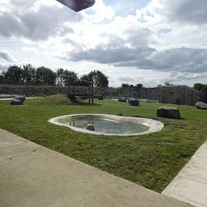 Spotted hyena enclosure