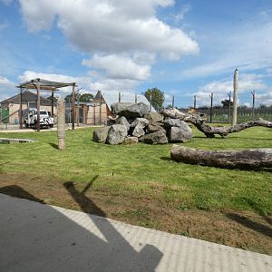 Tiger enclosure