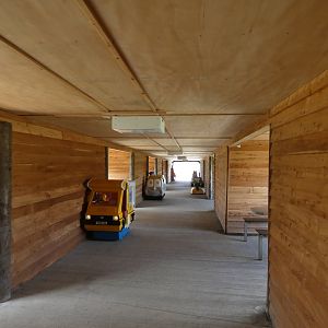 Viewing tunnel for tigers, leopard and hyena enclosures