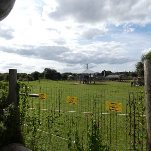 Zebra and camel enclosure