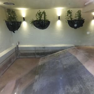 Tapir indoor enclosure