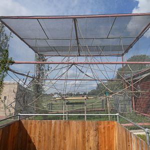 Squirrel monkey enclosure