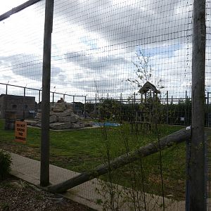 Lion (male and female) enclosure