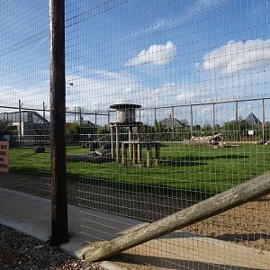 Lion enclosure (two males)