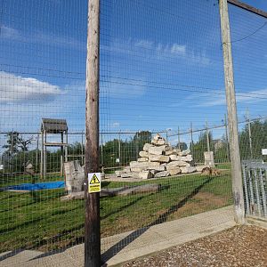 Lion (male and female) enclosure