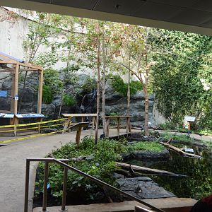 Upland River - Overview