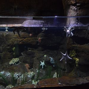 Restless Planet - Mediterranean Sea Exhibit